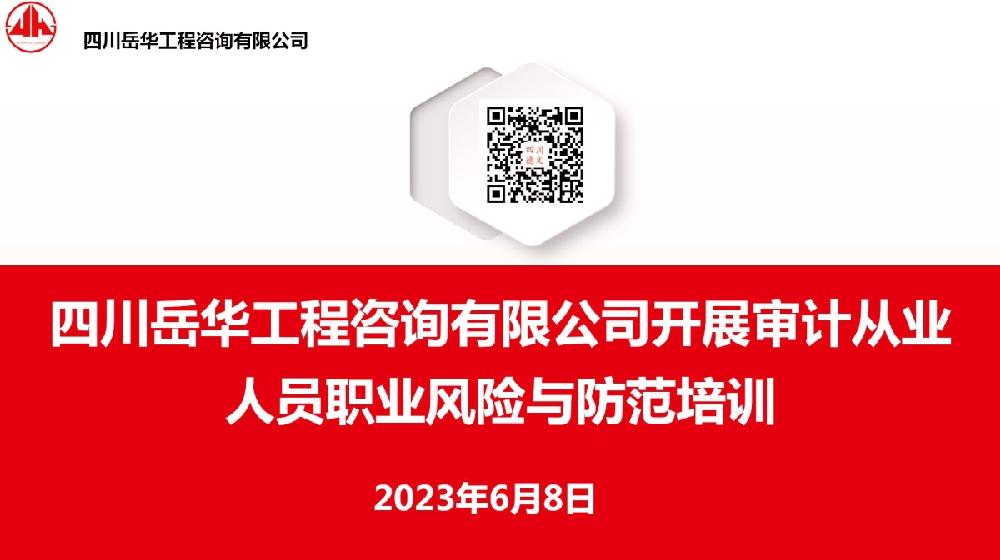 四川岳华工程咨询有限公司开展审计从业人员职业风险与防范培训
