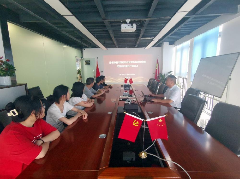 四川德文会计师事务所党支部专题学习 ——学习通川区政企党建经验