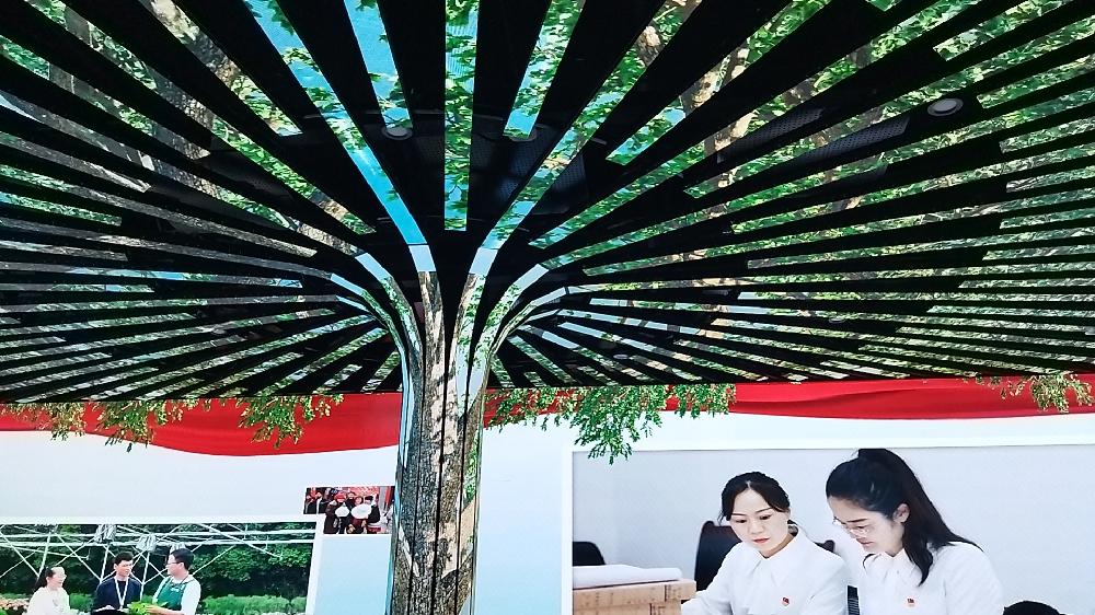 /attached/image/20251104/ /attached/image/20251104/