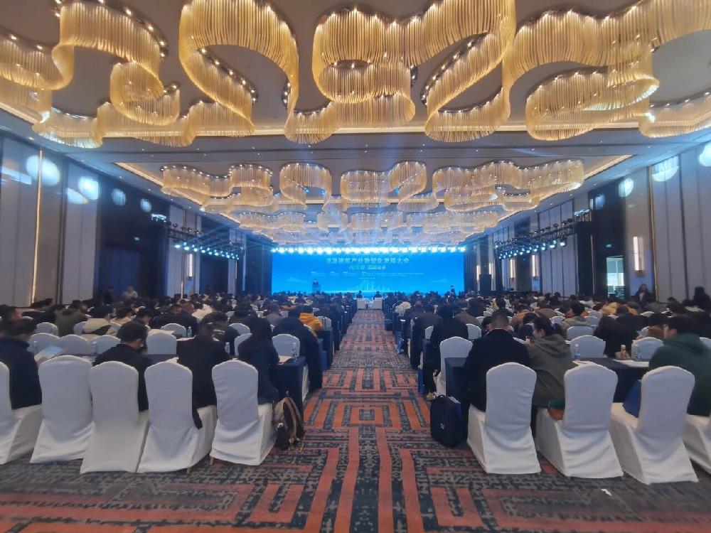 /attached/image/20251212/ /attached/image/20251212/